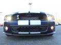 2010 Kona Blue Metallic Ford Mustang Shelby GT500 Coupe  photo #9