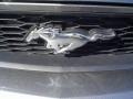 2010 Sterling Grey Metallic Ford Mustang V6 Convertible  photo #13