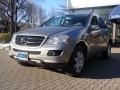 2006 Pewter Metallic Mercedes-Benz ML 350 4Matic  photo #1