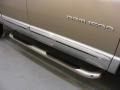 2004 Light Almond Pearl Dodge Ram 1500 SLT Quad Cab 4x4  photo #5