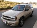 Silver Green Metallic - TrailBlazer LS 4x4 Photo No. 1