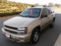 2004 Silver Green Metallic Chevrolet TrailBlazer LS 4x4  photo #1