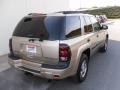 2004 Silver Green Metallic Chevrolet TrailBlazer LS 4x4  photo #4