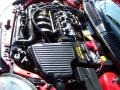 Flame Red - Neon SXT Photo No. 31