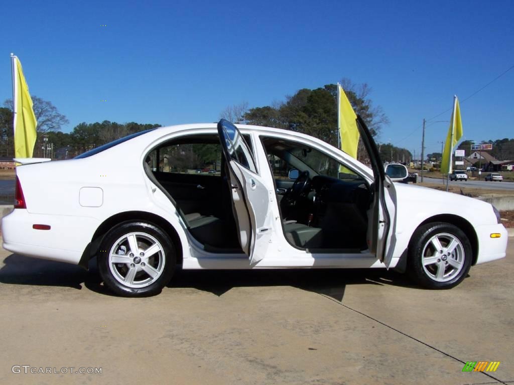 2004 Verona EX - Absolute White / Gray photo #5