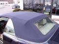 2001 Orient Blue Metallic BMW 3 Series 325i Convertible  photo #8