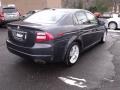 Carbon Gray Pearl - TL 3.2 Photo No. 5