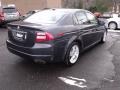 2007 Carbon Gray Pearl Acura TL 3.2  photo #5