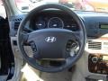 Ebony Black - Sonata GLS V6 Photo No. 19