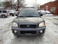 2002 Black Obsidian Hyundai Santa Fe GLS  photo #2