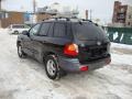 2002 Black Obsidian Hyundai Santa Fe GLS  photo #5