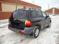 2002 Black Obsidian Hyundai Santa Fe GLS  photo #7