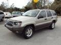 2003 Light Pewter Metallic Jeep Grand Cherokee Laredo 4x4  photo #1