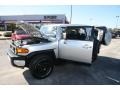 Titanium Metallic - FJ Cruiser 4WD Photo No. 28