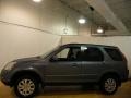 Pewter Pearl - CR-V SE 4WD Photo No. 2