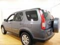 Pewter Pearl - CR-V SE 4WD Photo No. 3