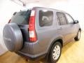 Pewter Pearl - CR-V SE 4WD Photo No. 4