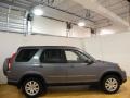 Pewter Pearl - CR-V SE 4WD Photo No. 5