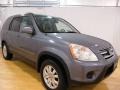 Pewter Pearl - CR-V SE 4WD Photo No. 6