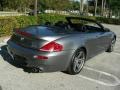 Silverstone Metallic - M6 Convertible Photo No. 5