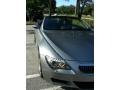 Silverstone Metallic - M6 Convertible Photo No. 12