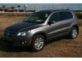 Alpine Grey Metallic - Tiguan SE Photo No. 3