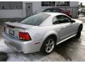2001 Silver Metallic Ford Mustang Cobra Coupe  photo #5