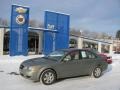 2008 Natural Khaki Green Hyundai Sonata GLS  photo #1