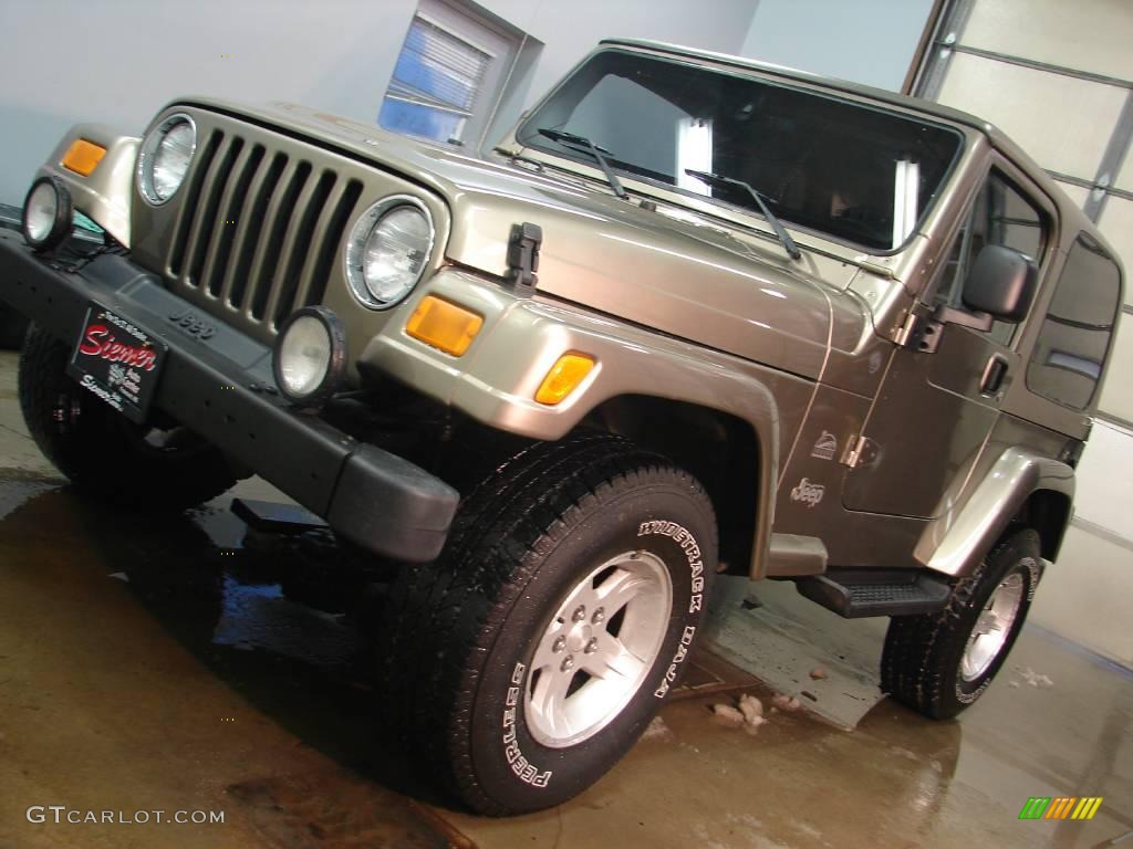 2004 Wrangler Sahara 4x4 - Light Khaki Metallic / Khaki photo #2