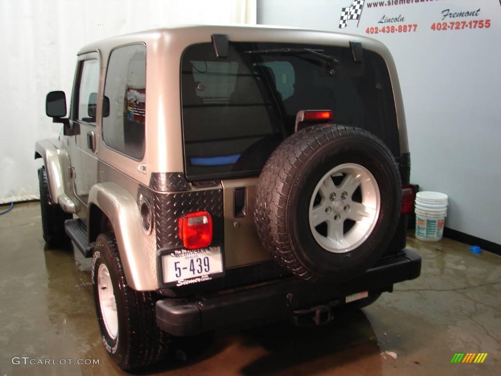 2004 Wrangler Sahara 4x4 - Light Khaki Metallic / Khaki photo #6