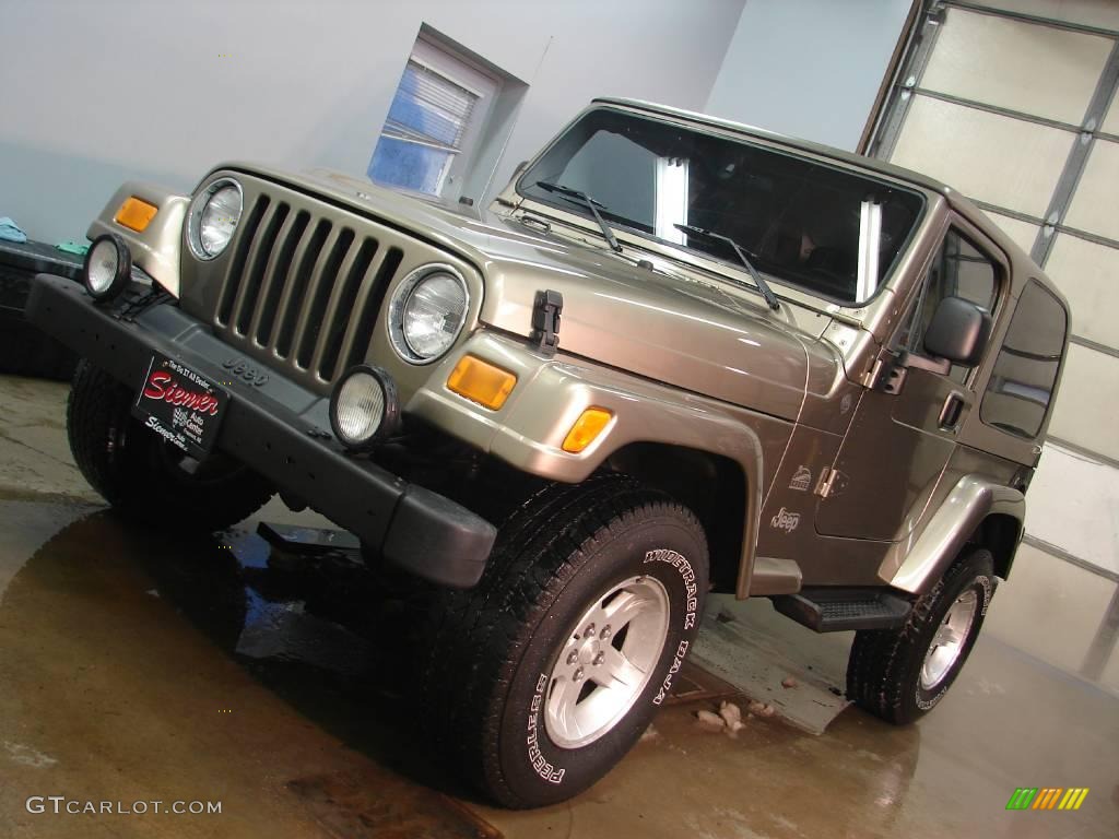 2004 Wrangler Sahara 4x4 - Light Khaki Metallic / Khaki photo #15