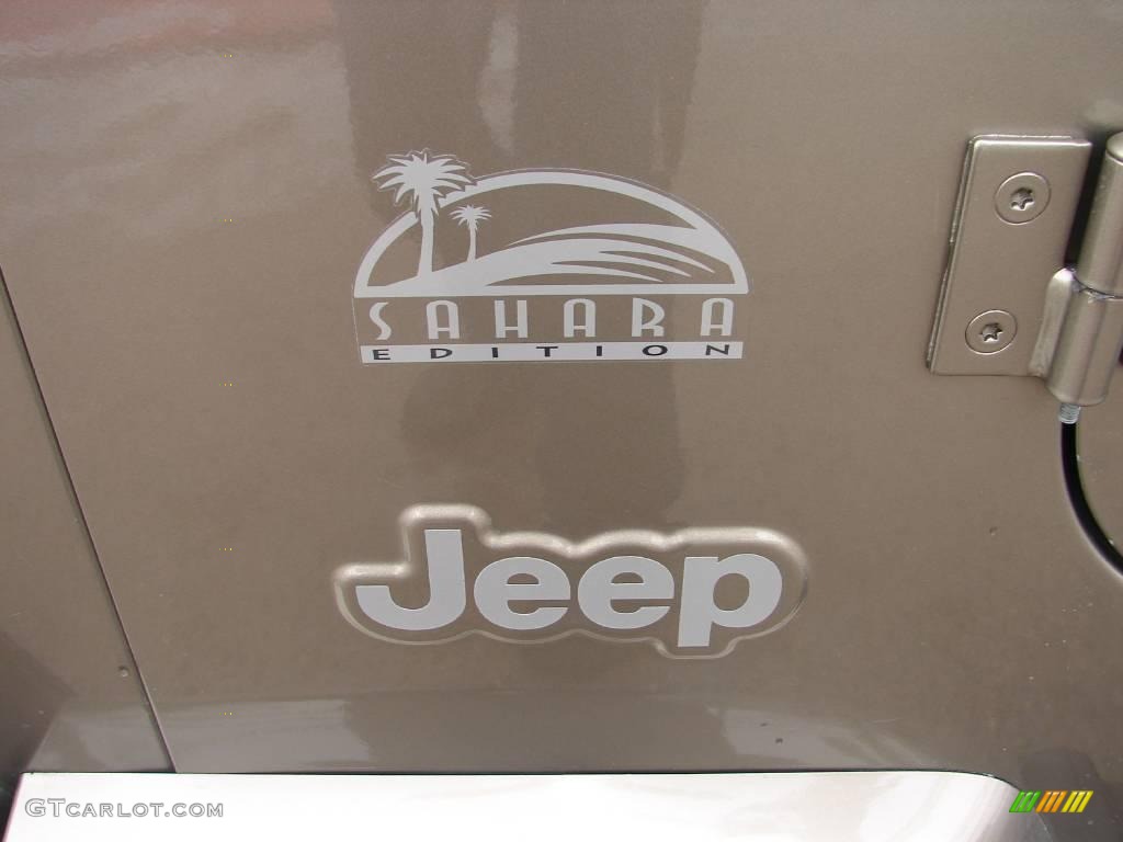 2004 Wrangler Sahara 4x4 - Light Khaki Metallic / Khaki photo #17