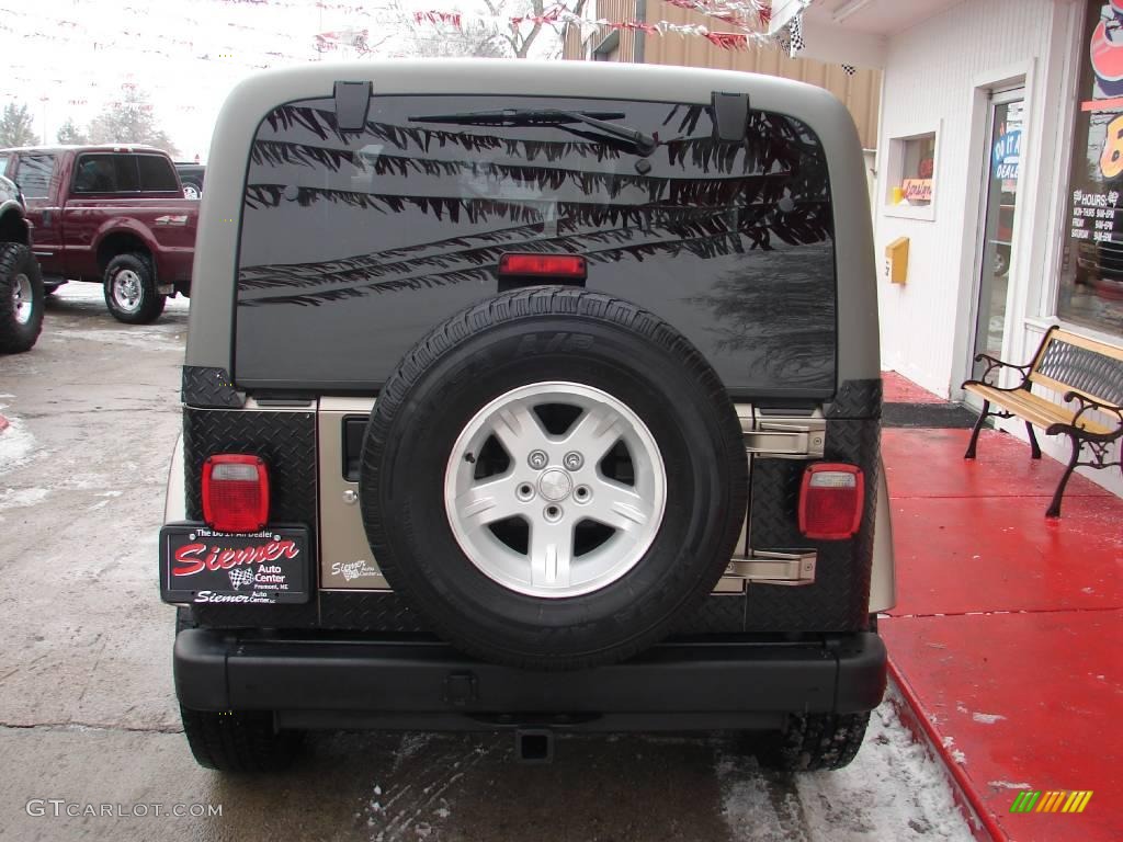 2004 Wrangler Sahara 4x4 - Light Khaki Metallic / Khaki photo #19