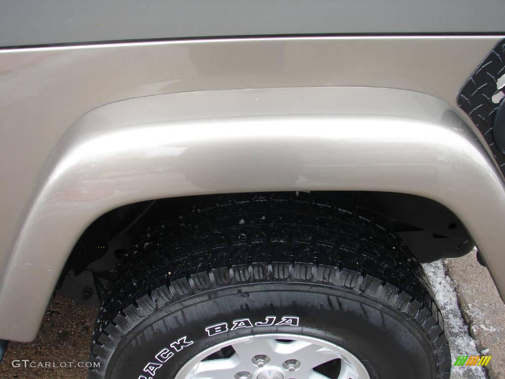 2004 Wrangler Sahara 4x4 - Light Khaki Metallic / Khaki photo #25