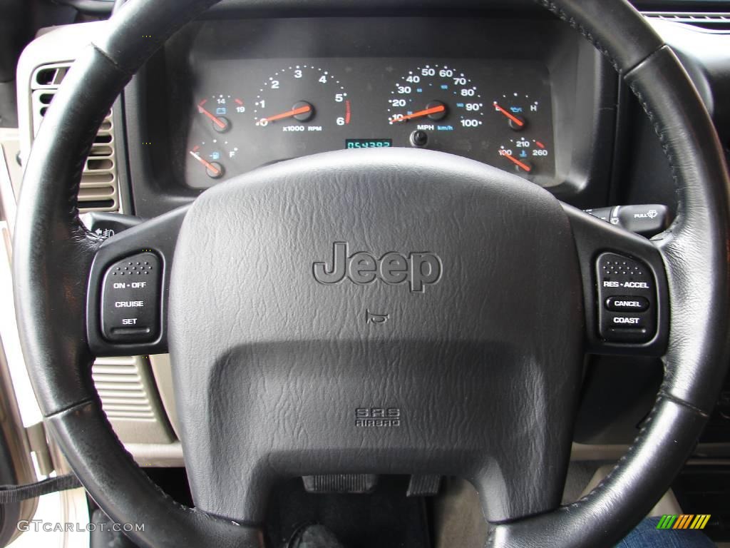 2004 Wrangler Sahara 4x4 - Light Khaki Metallic / Khaki photo #34