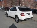 Alabaster White - ML 350 4Matic Photo No. 3