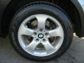 Silver Grey Metallic - X3 3.0si Photo No. 23