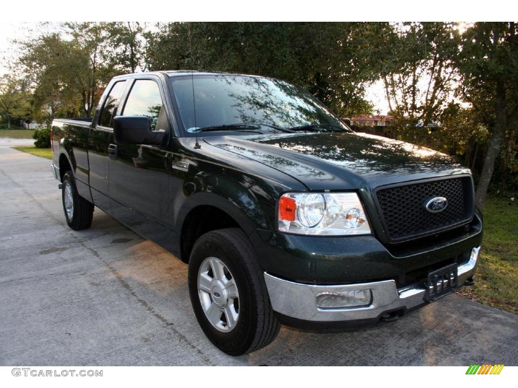 2004 F150 XLT SuperCab 4x4 - Aspen Green Metallic / Medium/Dark Flint photo #21