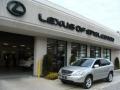 Millennium Silver Metallic - RX 350 AWD Photo No. 1