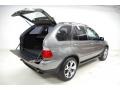 Sterling Grey Metallic - X5 3.0i Photo No. 10