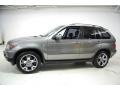 Sterling Grey Metallic - X5 3.0i Photo No. 12