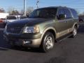 2003 Estate Green Metallic Ford Expedition Eddie Bauer  photo #1