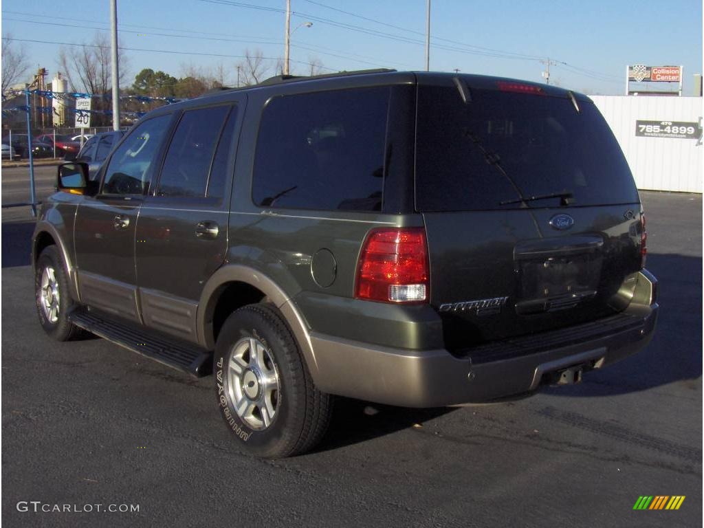 2003 Expedition Eddie Bauer - Estate Green Metallic / Medium Parchment photo #2