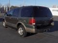 2003 Estate Green Metallic Ford Expedition Eddie Bauer  photo #2