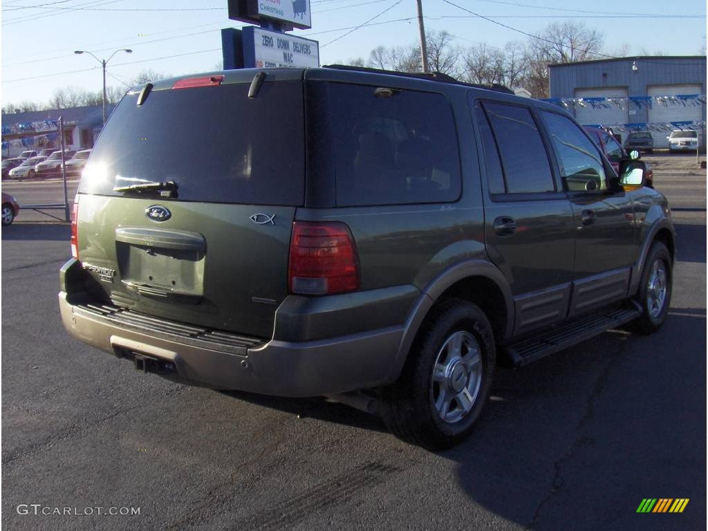 2003 Expedition Eddie Bauer - Estate Green Metallic / Medium Parchment photo #3