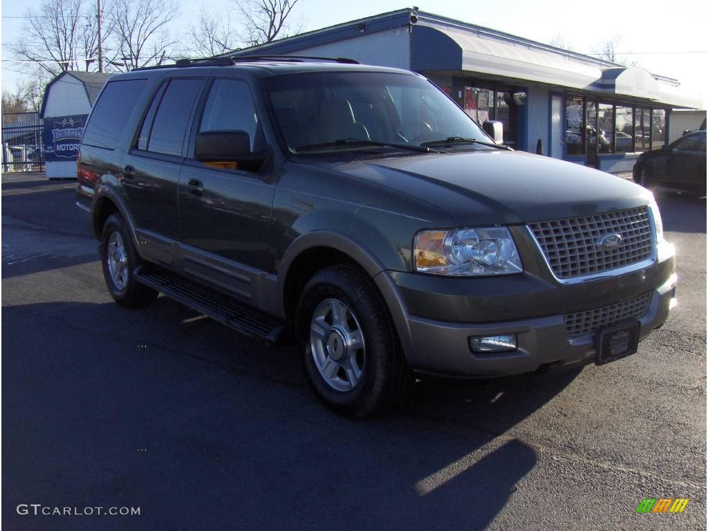 2003 Expedition Eddie Bauer - Estate Green Metallic / Medium Parchment photo #4