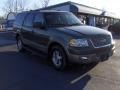 2003 Estate Green Metallic Ford Expedition Eddie Bauer  photo #4