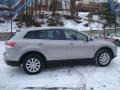 2008 Liquid Platinum Metallic Mazda CX-9 Touring  photo #6