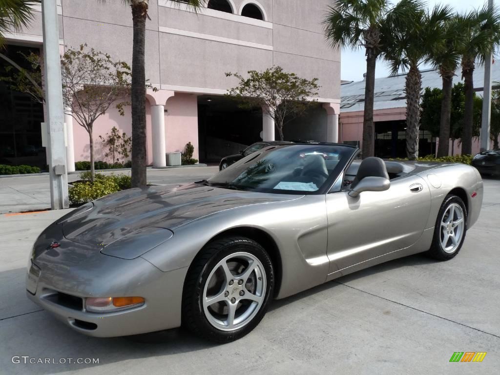 2000 Corvette Convertible - Light Pewter Metallic / Light Oak photo #1