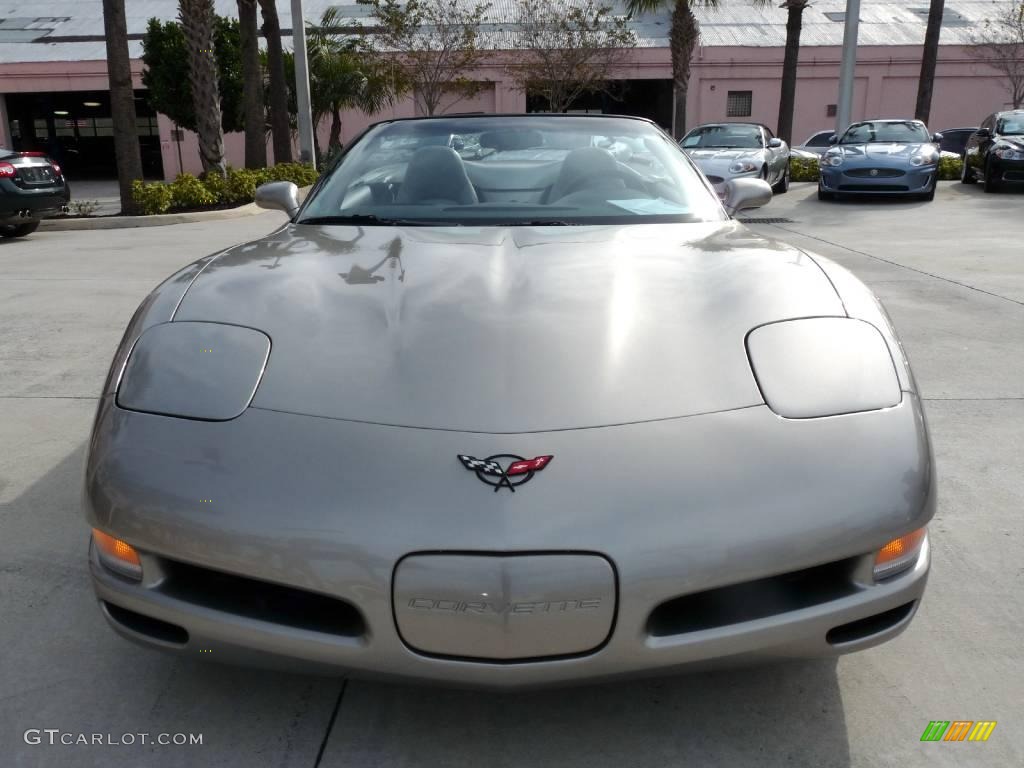 2000 Corvette Convertible - Light Pewter Metallic / Light Oak photo #2